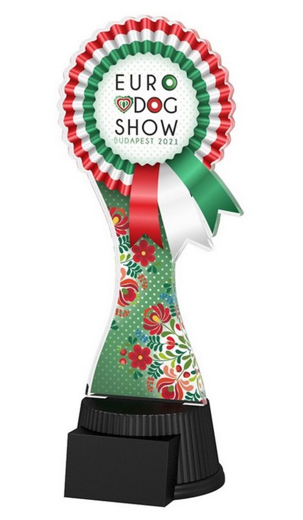 Akrylátová trofej EDS21ACUTC01