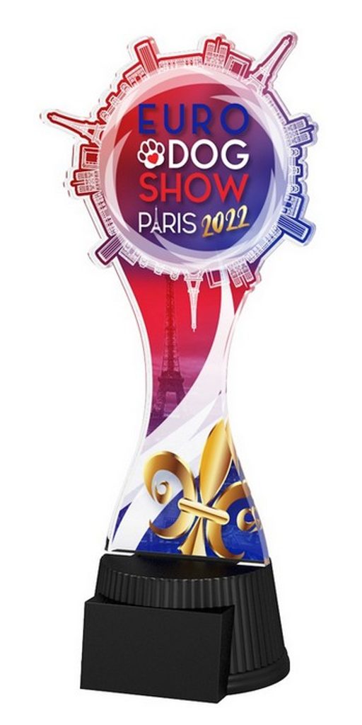 Akrylátová trofej EDS22ACUTC04