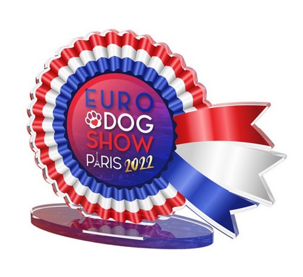 Akrylátová trofej EDS22CLICK01