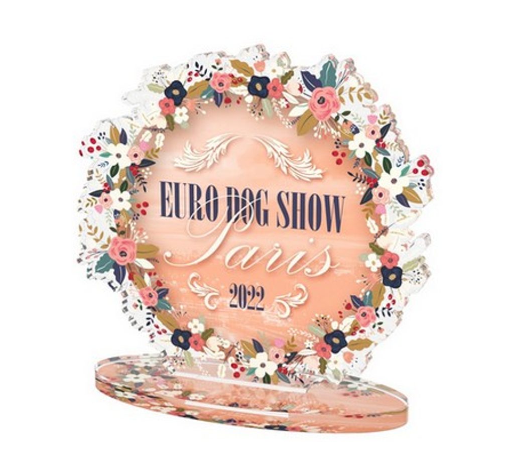 Akrylátová trofej EDS22CLICK02