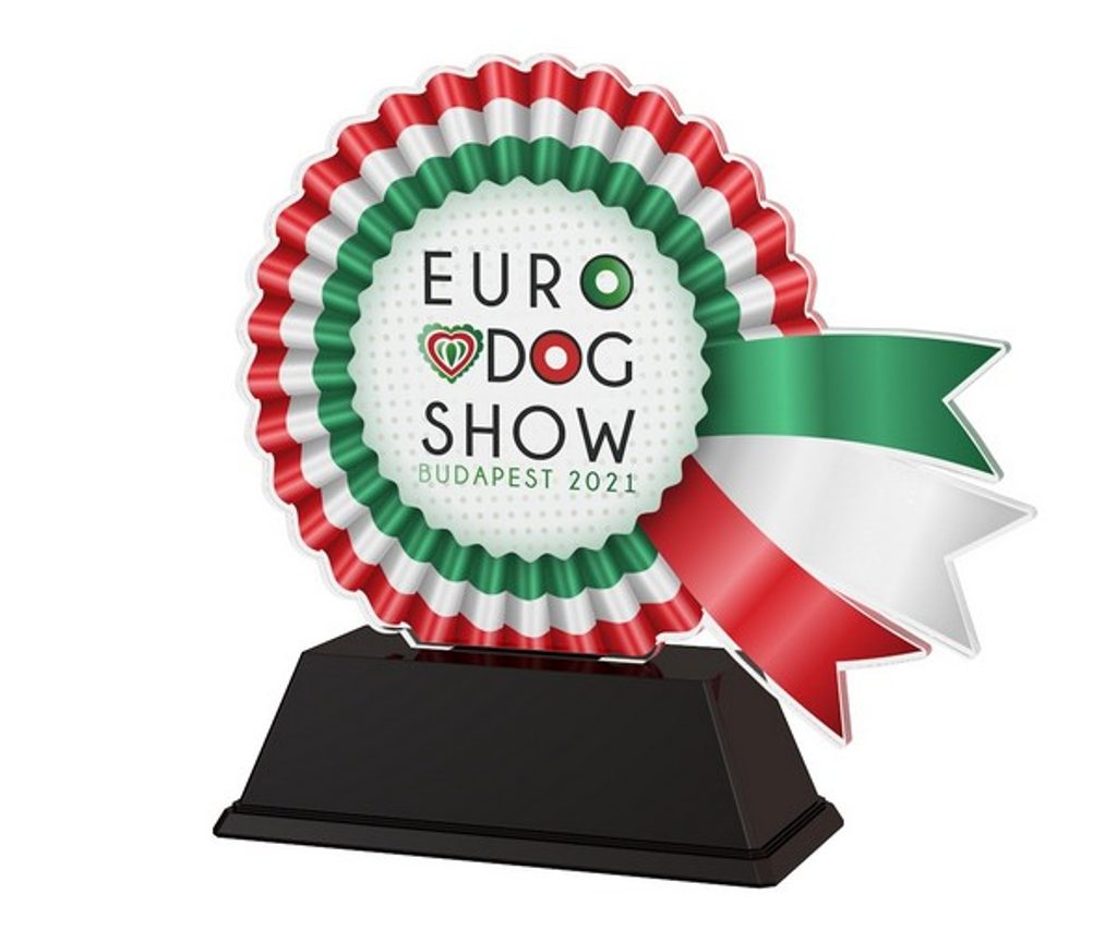 Akrylátová trofej EDS21FA001