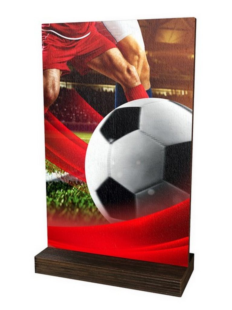 Dřevěná plaketa WPLA01M01 | Fotbal