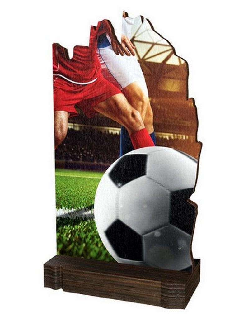 Dřevěná plaketa WPLA02M01 | Fotbal