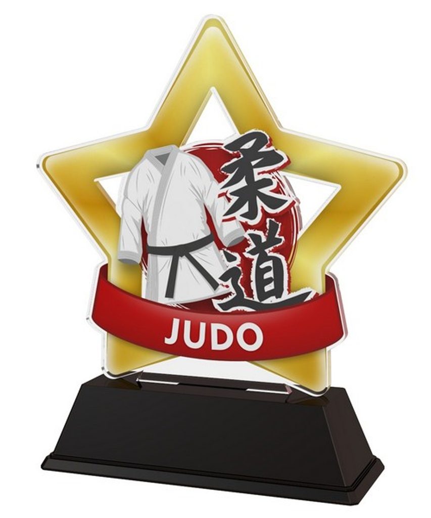 Akrylátová trofej STAR001M36 | Bojová umění