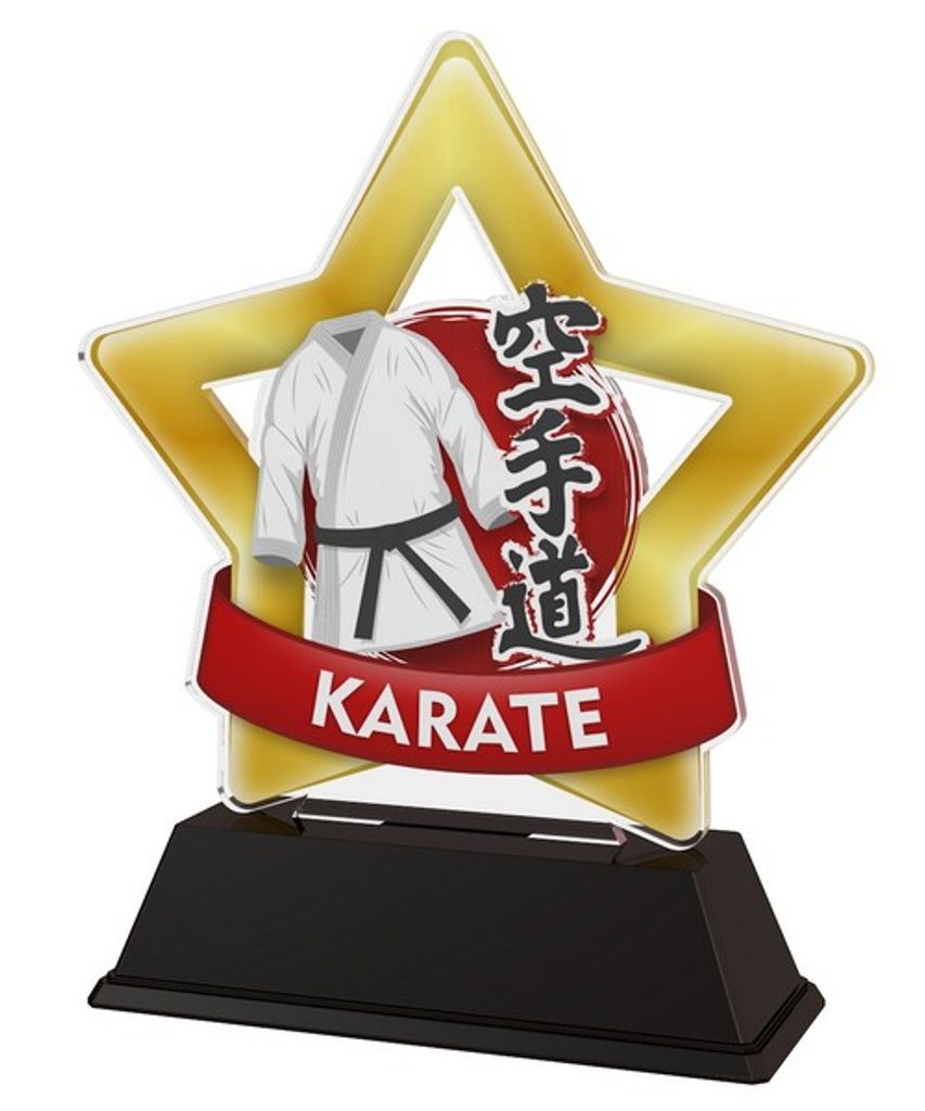 Akrylátová trofej STAR001M37 | Bojová umění
