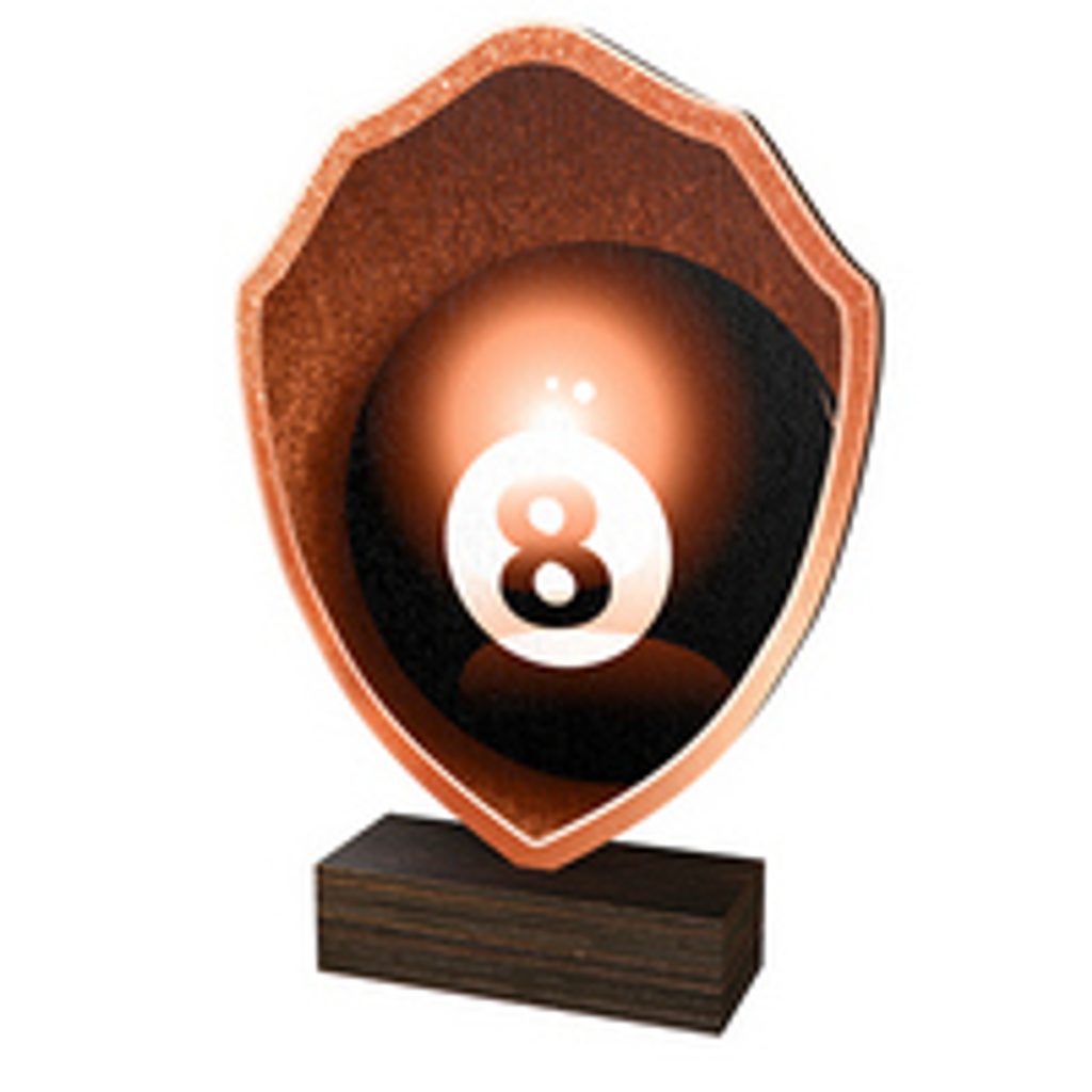 Dřevěná plaketa TFRW252 | Billiard