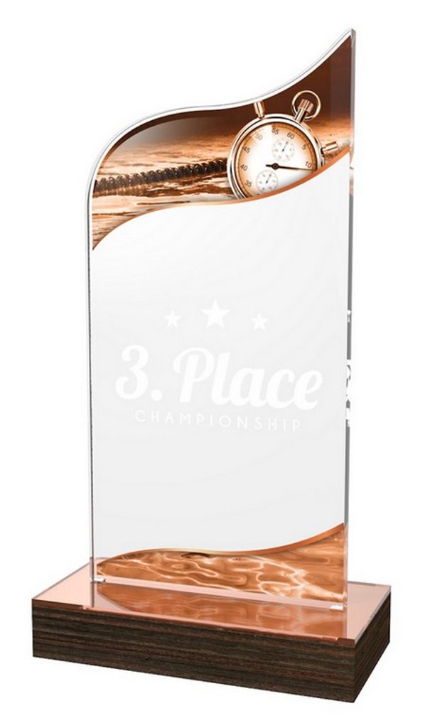 Akrylátová trofej WPLA536 | Plavání