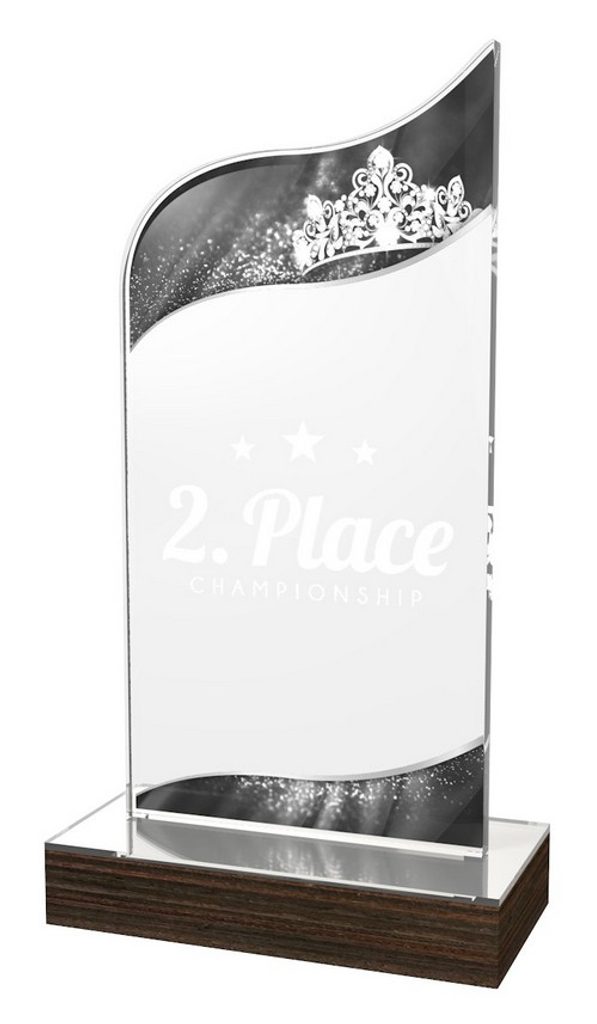 Akrylátová trofej WPLA623