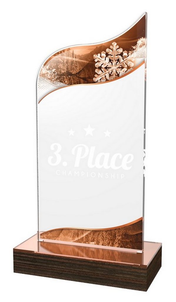 Akrylátová trofej WPLA648