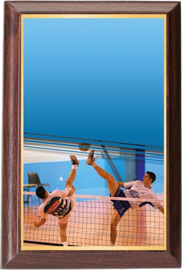 Plaketa PLP3M3 | Nohejbal