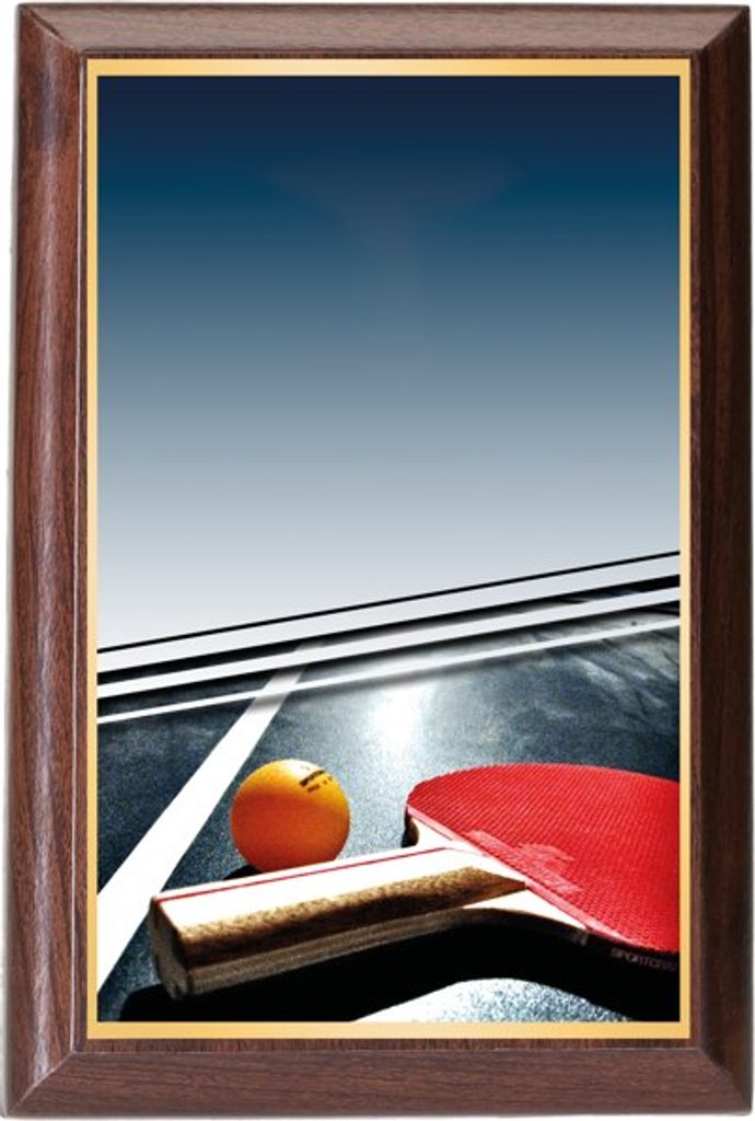 Plaketa PLP3M4