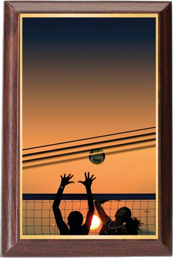 Plaketa PLP3M25 | Volejbal