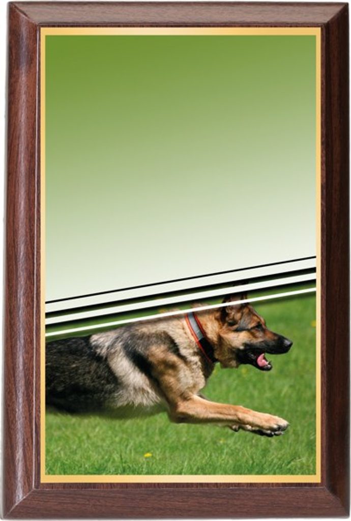 Plaketa PLP3M33 | Kynologie