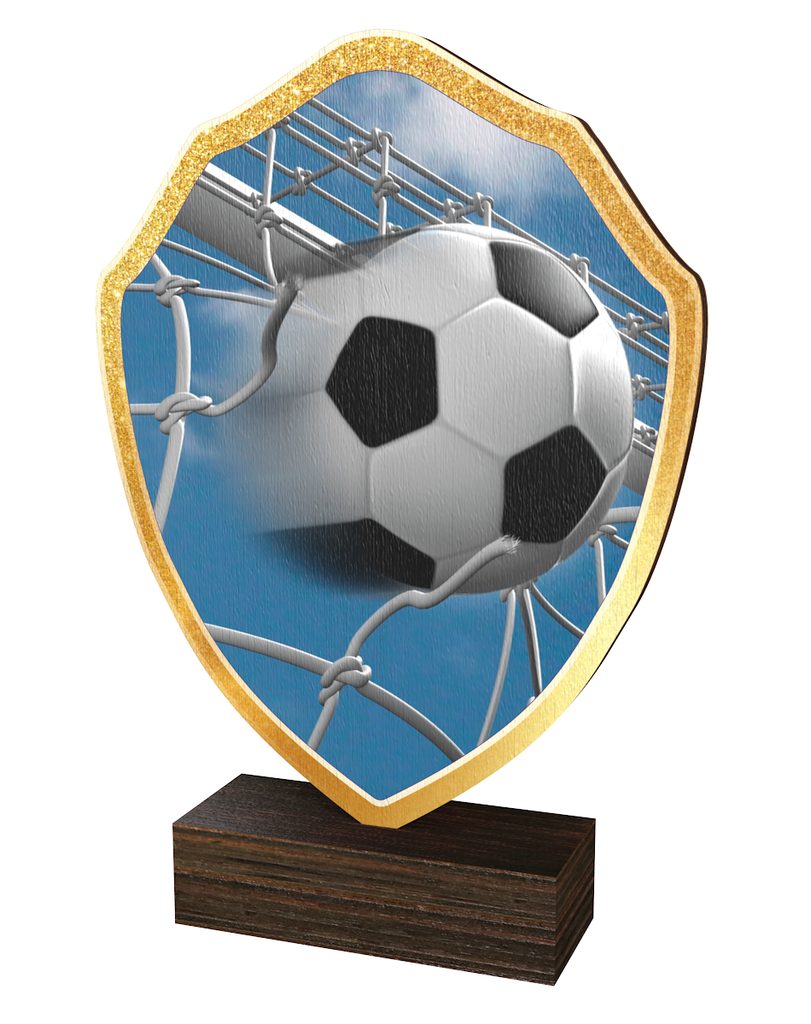Dřevěná plaketa TFRW308 | Fotbal