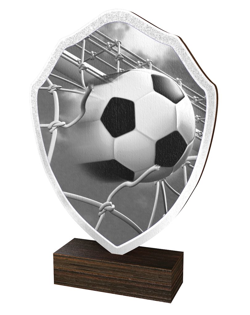 Dřevěná plaketa TFRW310 | Fotbal