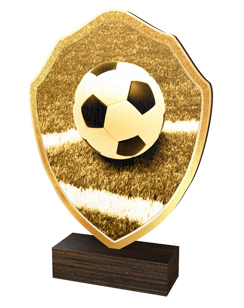 Dřevěná plaketa TFRW313 | Fotbal
