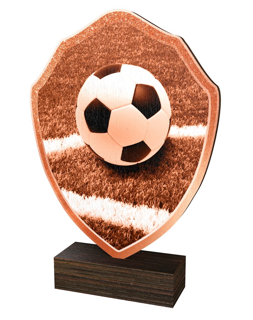 Dřevěná plaketa TFRW315 | Fotbal