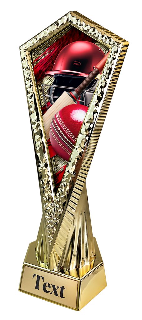 Sportovní trofej AY1M10 | Cricket