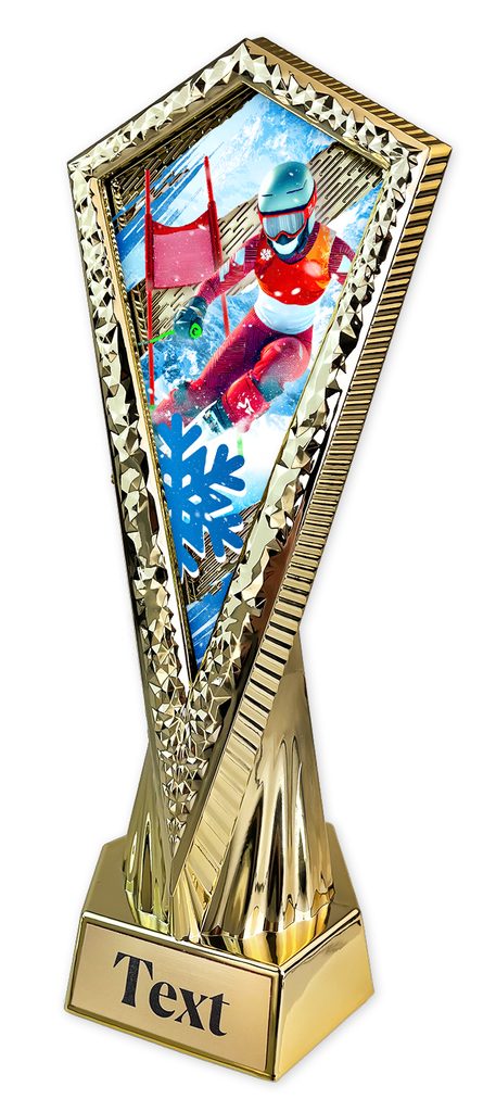 Sportovní trofej AY1M27 | Sjezdové lyžování