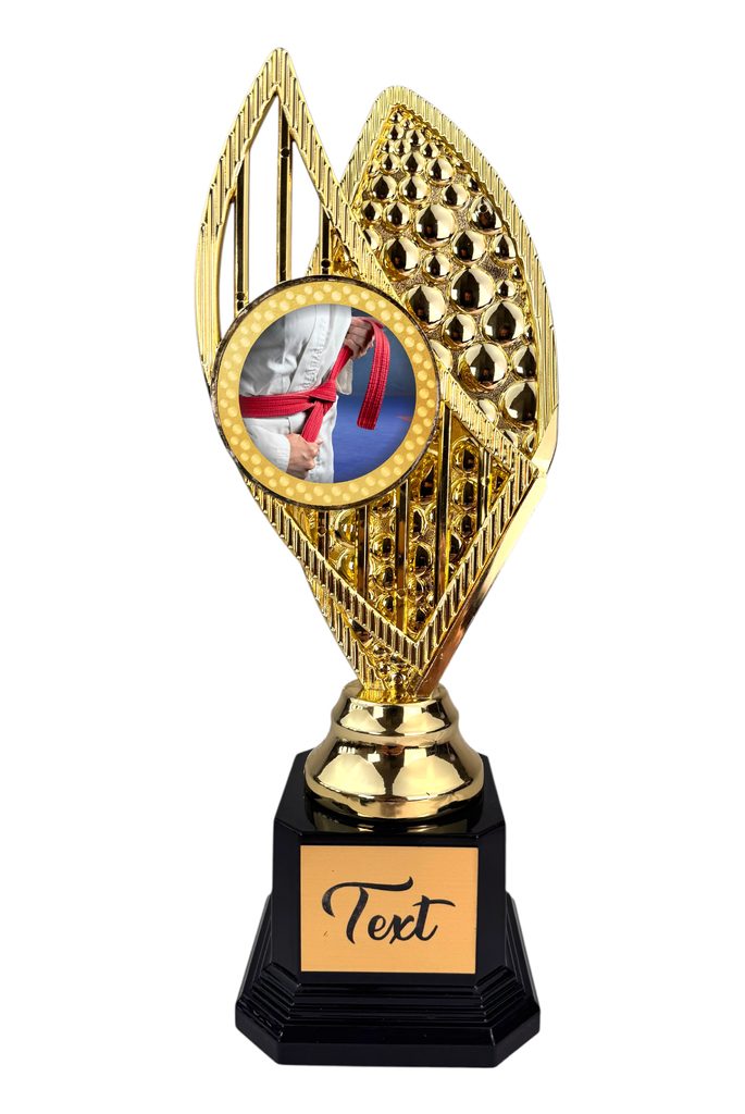 Designová trofej AV1M37 | Bojová umění