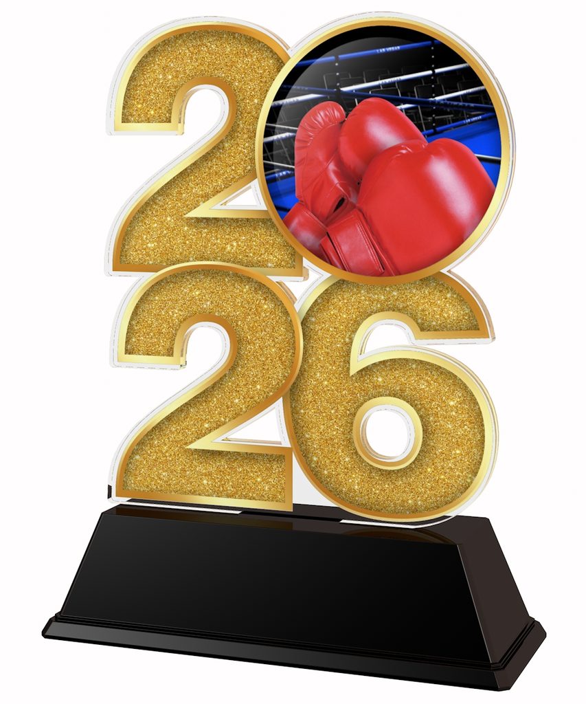 Akrylátová trofej C2026M25 | Bojová umění