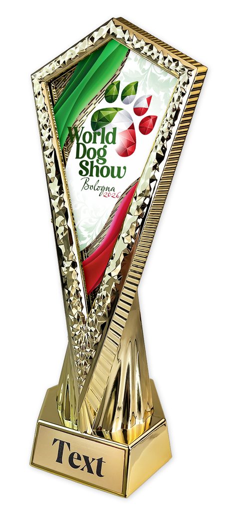 Sportovní trofej WDS2026 - AY 2