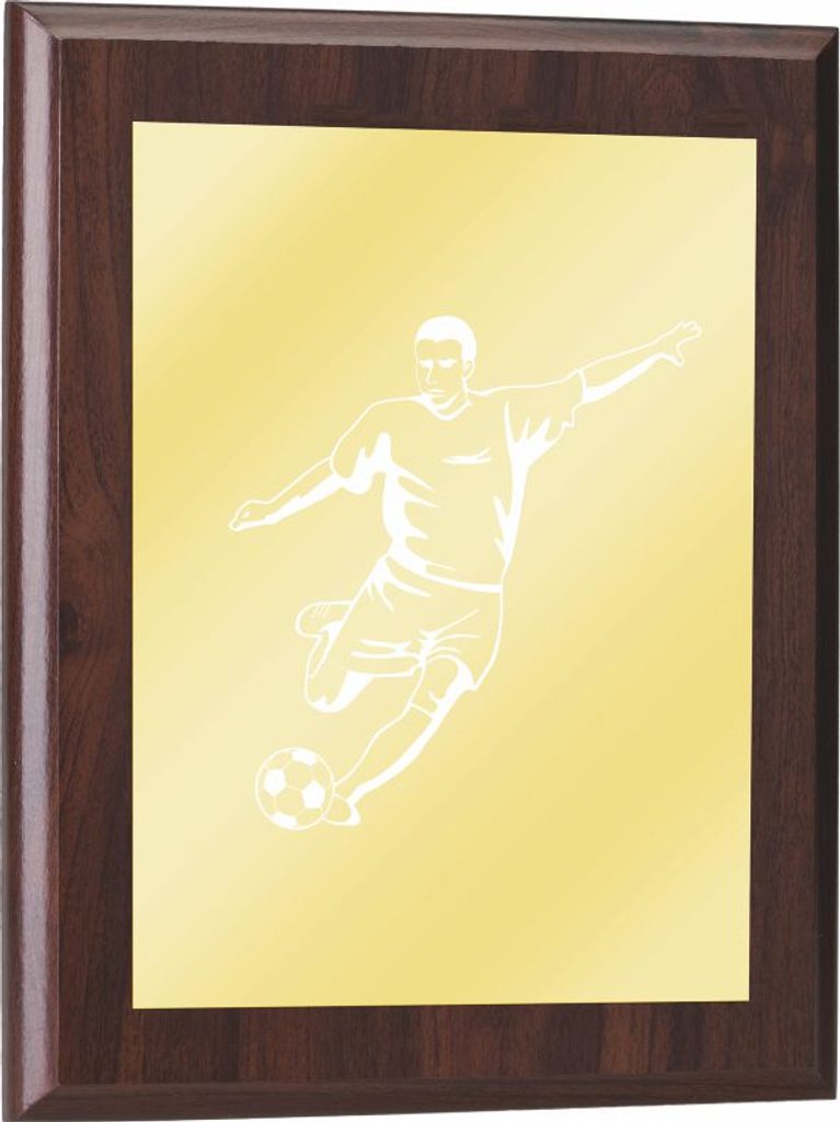 Plaketa PLP0001