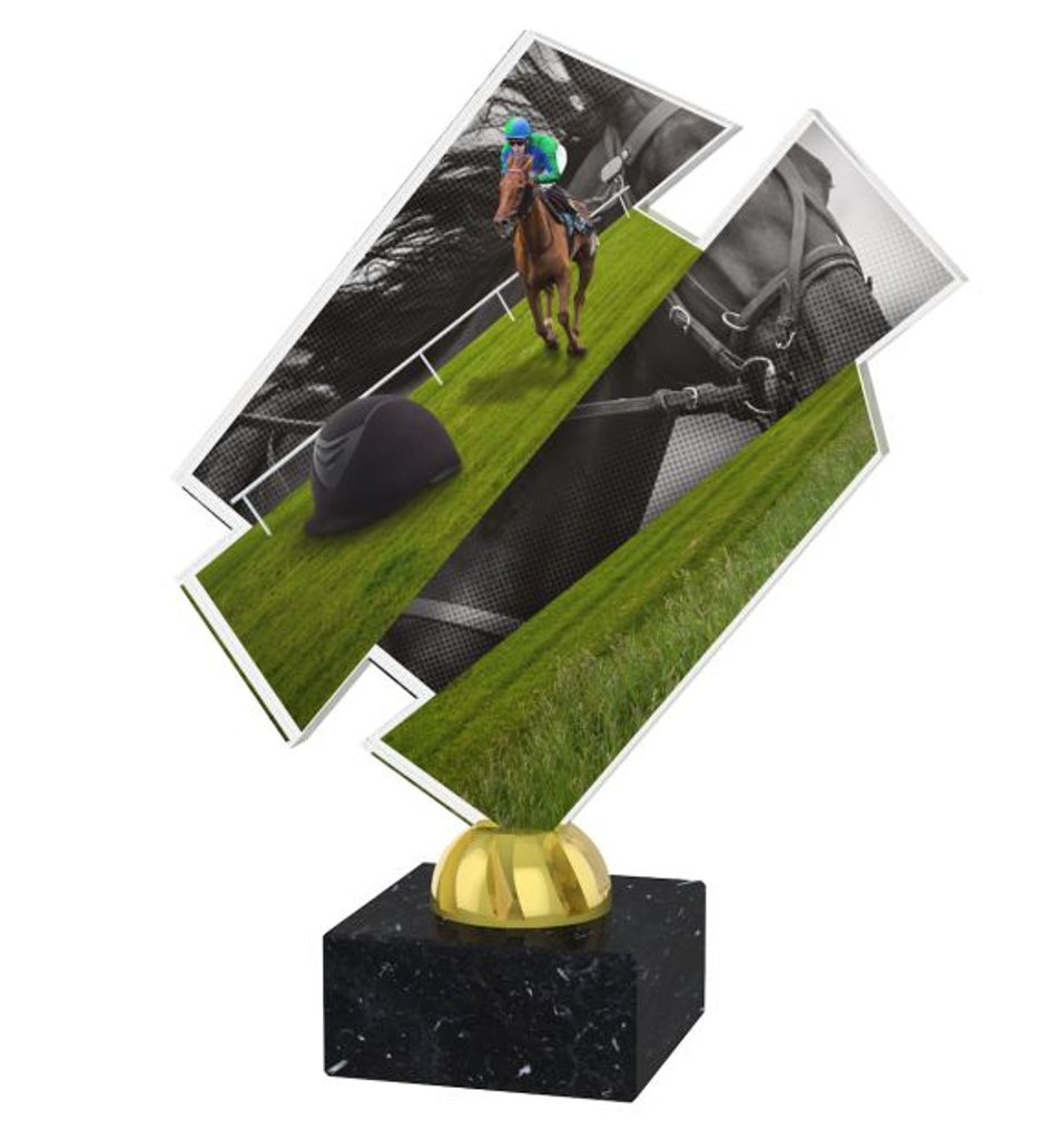 Akrylátová trofej ACZM29 | Jezdectví
