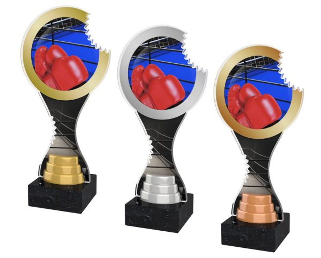 Akrylátová trofej ACBTM15 | Bojová umění