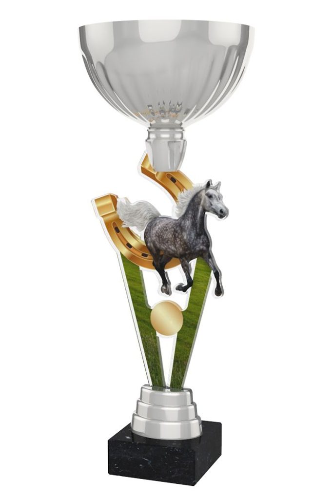 Akrylátová trofej ACUPSILVM11 | Jezdectví