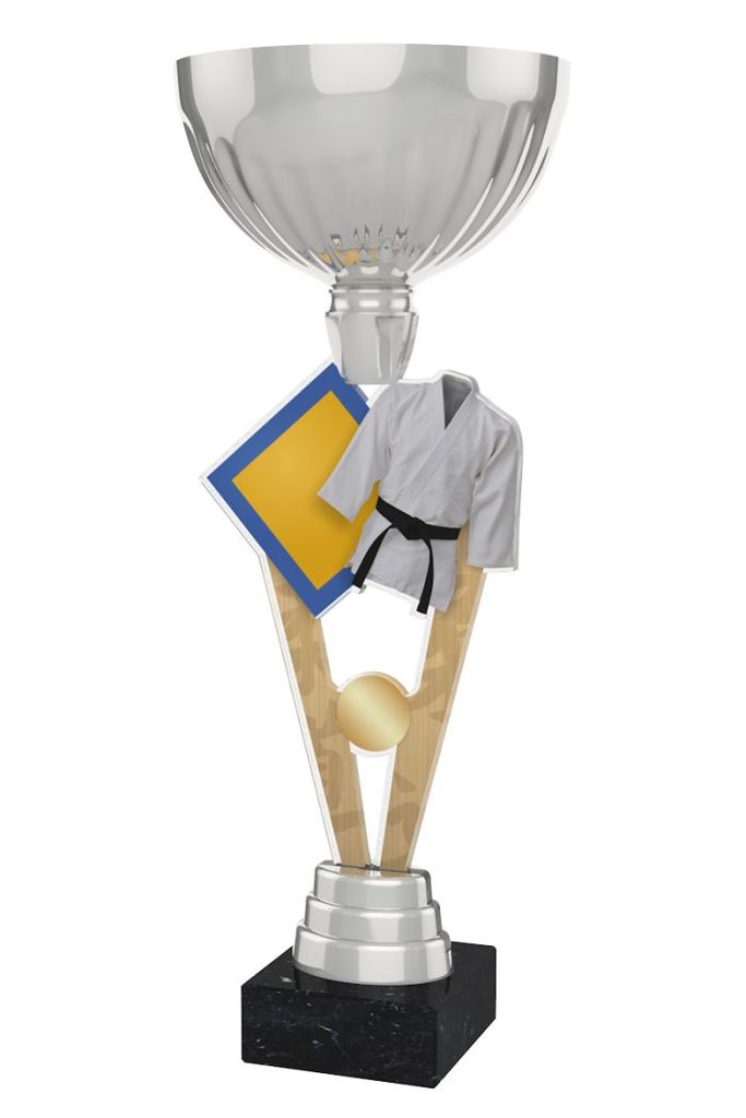 Akrylátová trofej ACUPSILVM15 | Bojová umění