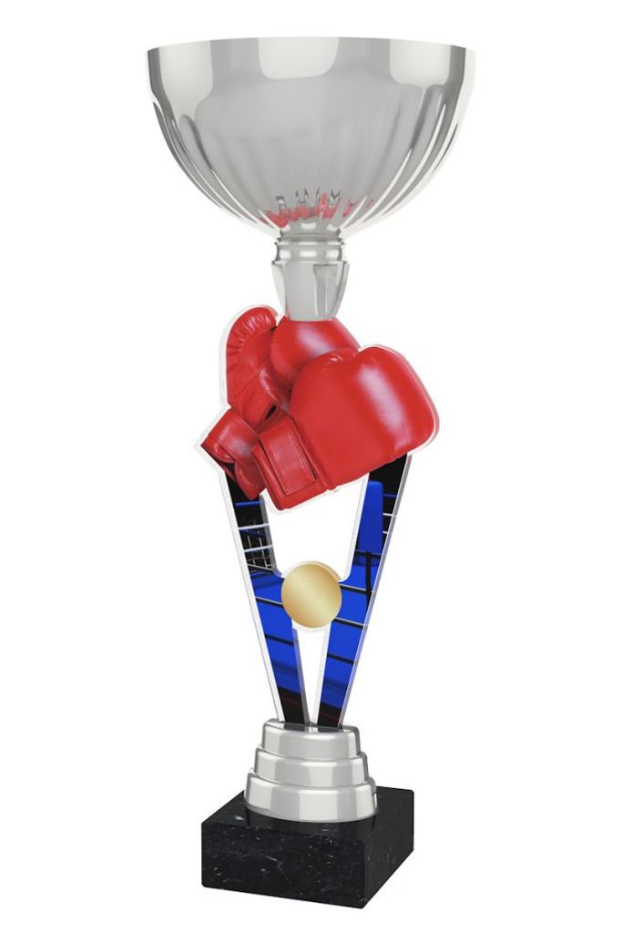 Akrylátová trofej ACUPSILVM16 | Bojová umění