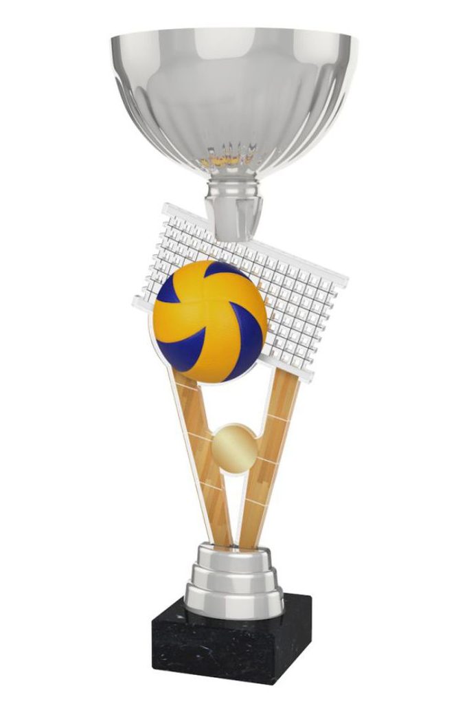 Akrylátová trofej ACUPSILVM19 | Volejbal