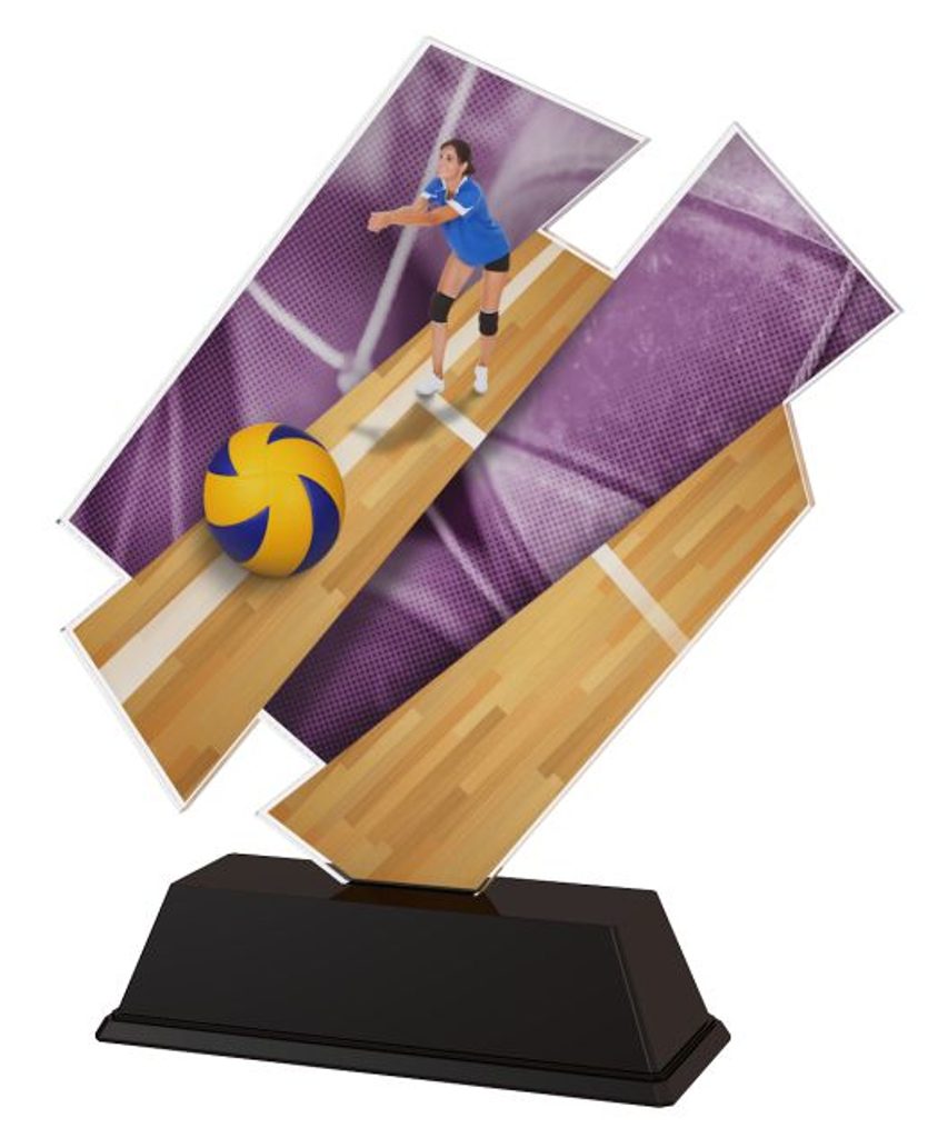 Akrylátová trofej ACZC001M11 | Volejbal