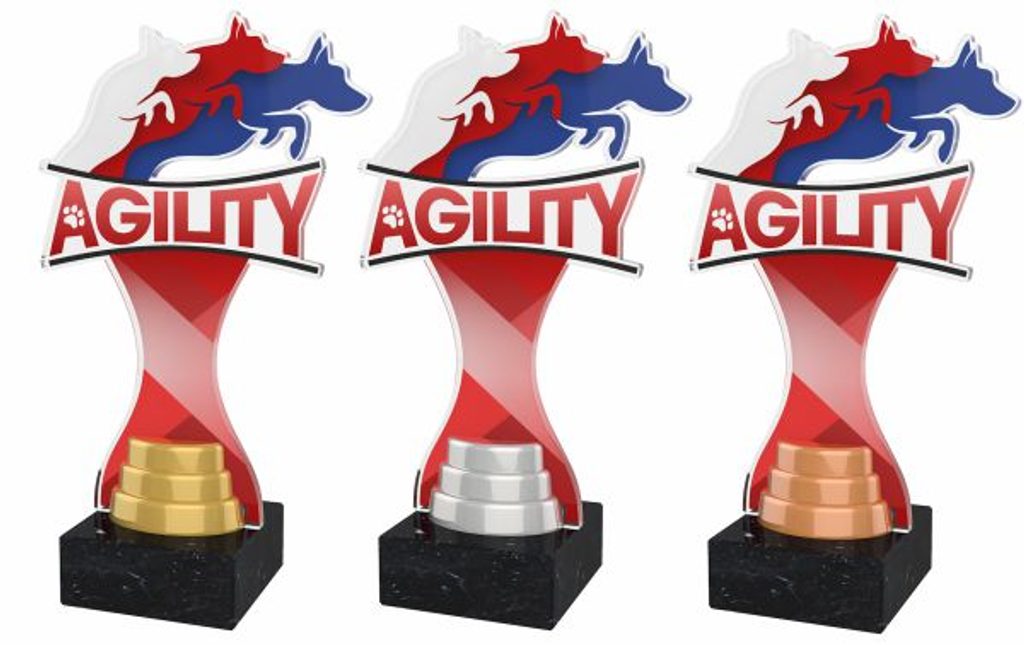 Akrylátová trofej ACBTM41 | Kynologie