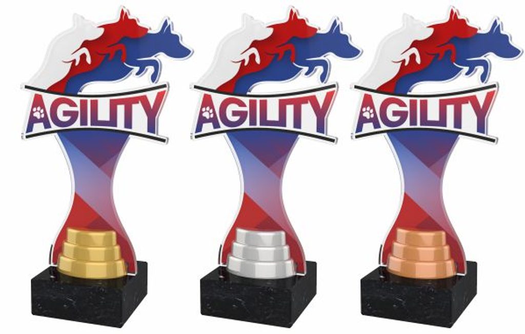 Akrylátová trofej ACBTM43 | Kynologie