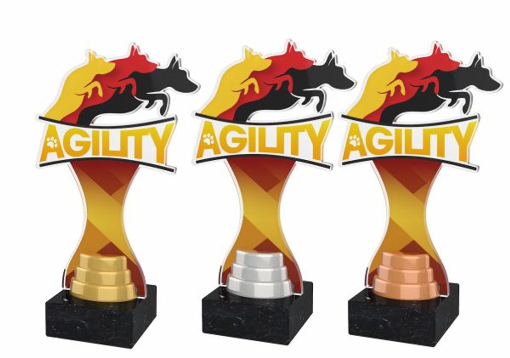 Akrylátová trofej ACBTM44 | Kynologie