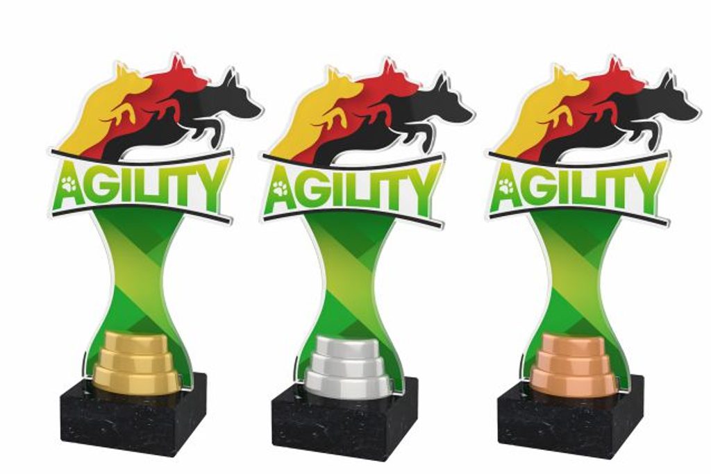 Akrylátová trofej ACBTM45 | Kynologie