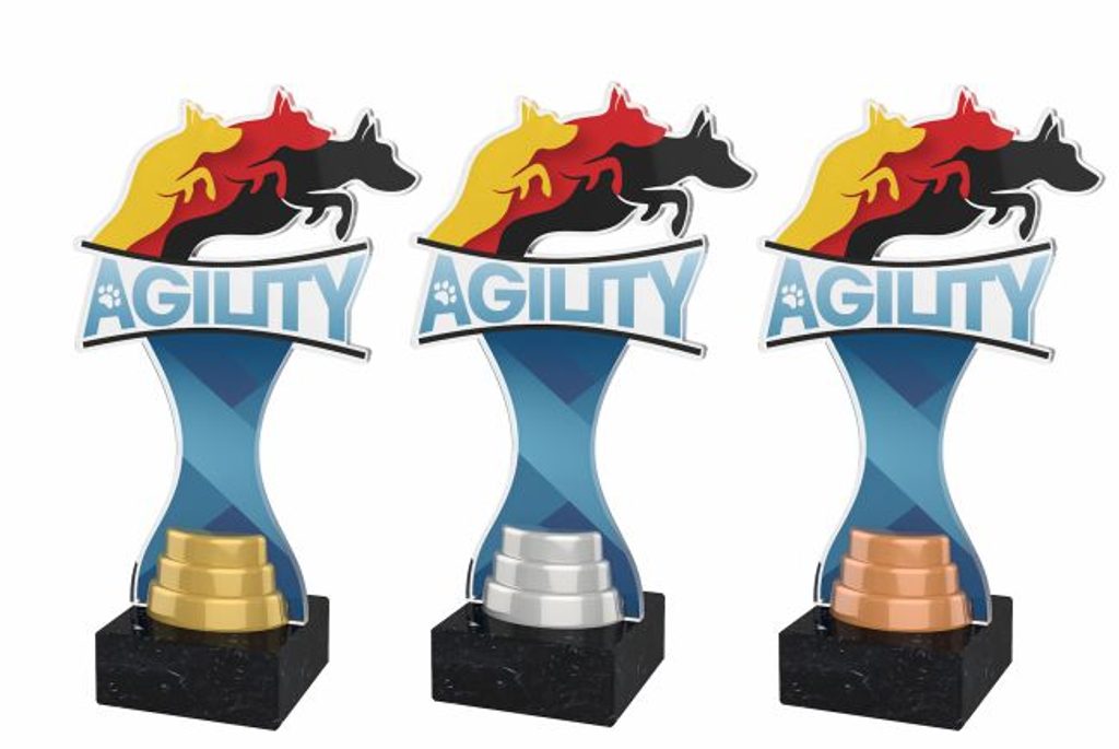 Akrylátová trofej ACBTM46 | Kynologie