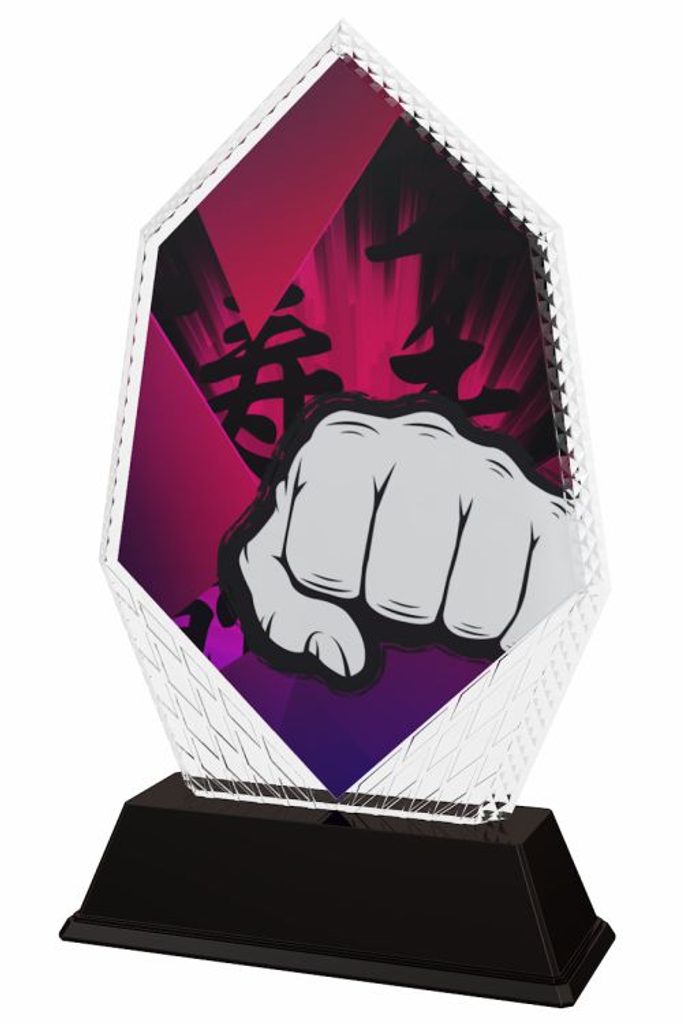 Akrylátová trofej PYR001M21 | Bojová umění