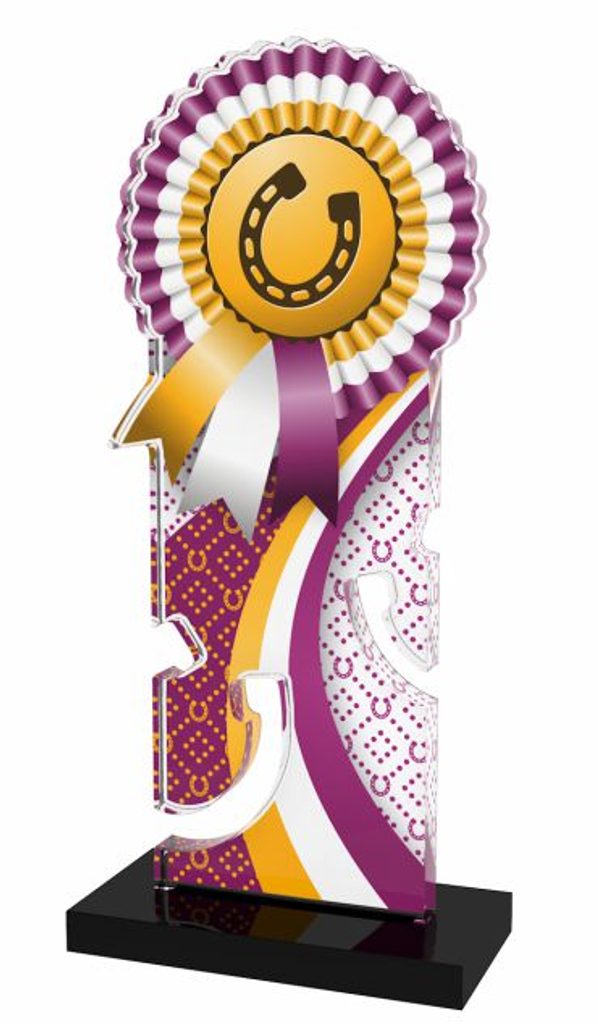 Akrylátová trofej APLAM48 | Jezdectví