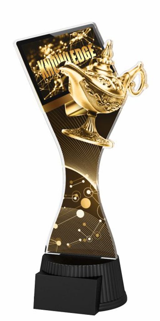 Akrylátová trofej ACUTCNM23 | Quiz