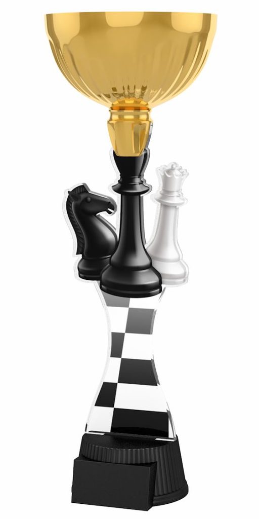 Akrylátová trofej ACUPCGM35 | Šachy