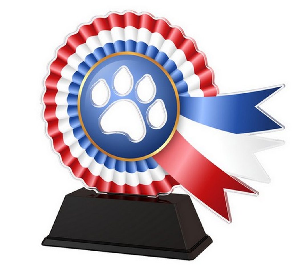 Akrylátová trofej AKECC002M01 | Kynologie