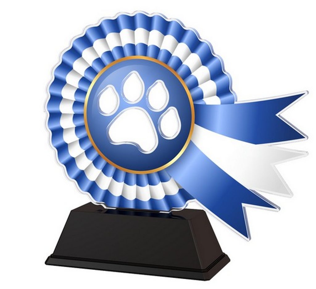 Akrylátová trofej AKECC002M04 | Kynologie