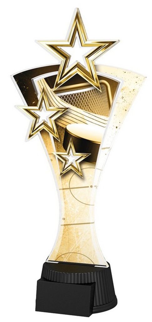 Akrylátová trofej ASTARN001M13 | Hokej