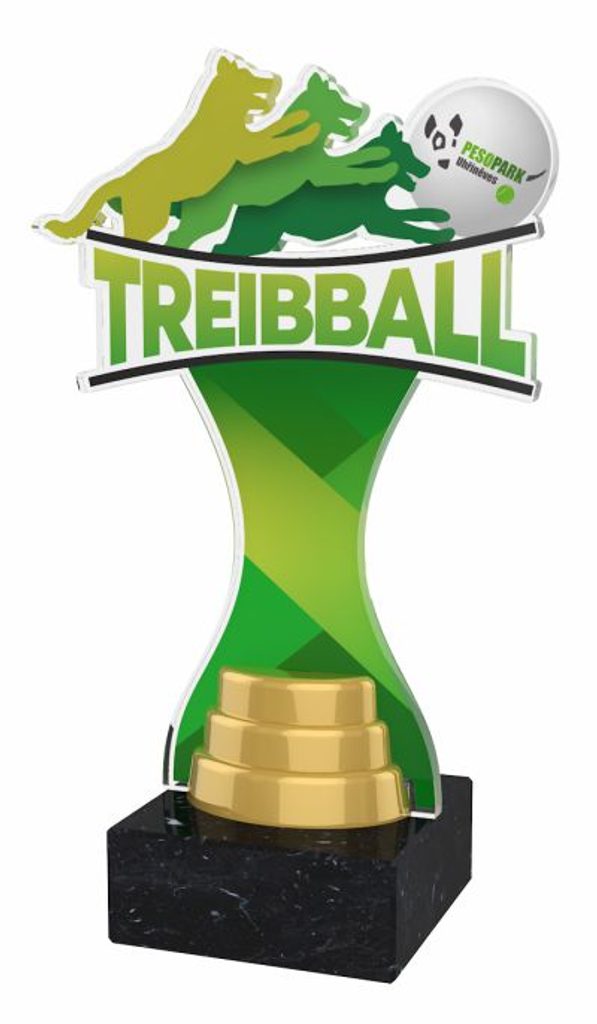 Akrylátová trofej ACBTM62 | Kynologie