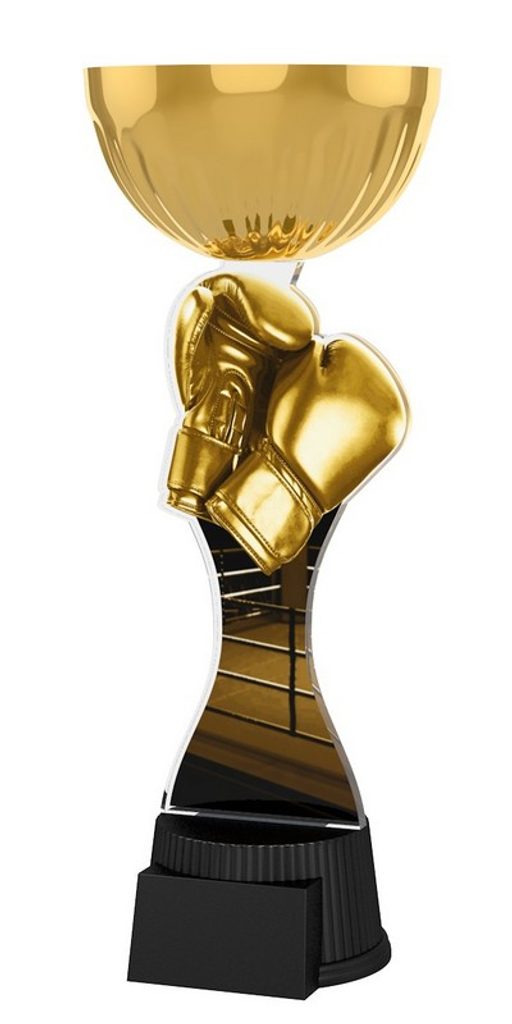 Akrylátová trofej ACUPCGNMINIM13 | Bojová umění