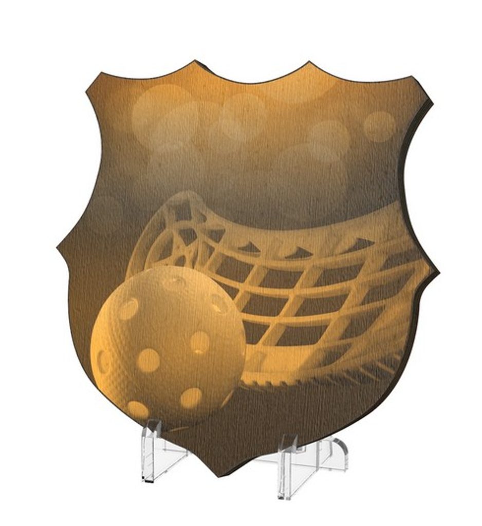 Plaketa WPPR002M24 | Florbal