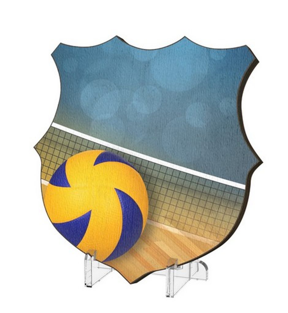 Plaketa WPP002M21 | Volejbal